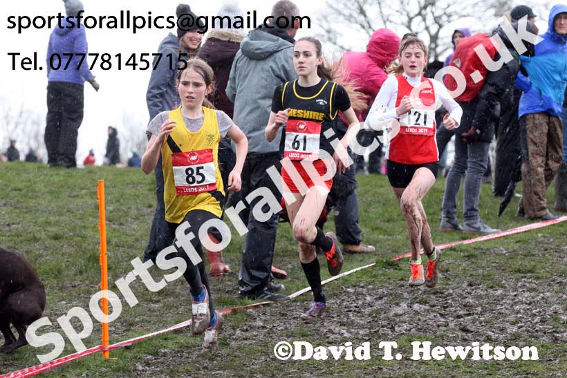 Junior girls 2019 New Balance English Schools Cross Country Champs, Temple Newsam, Leeds. Photo:  David T. Hewitson/Sports for All Pics